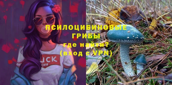 ECSTASY Алапаевск