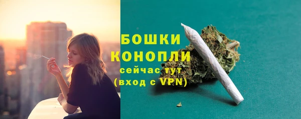 ECSTASY Алапаевск