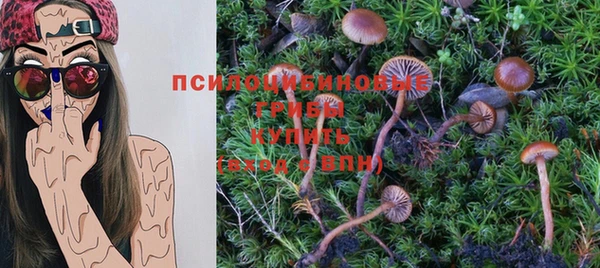 стаф Алагир
