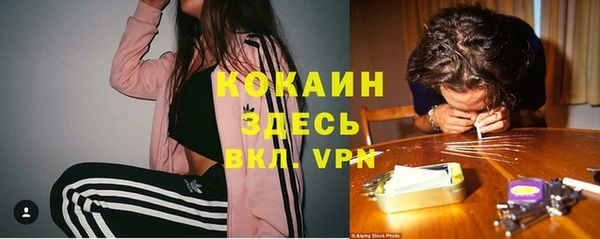 стаф Алагир