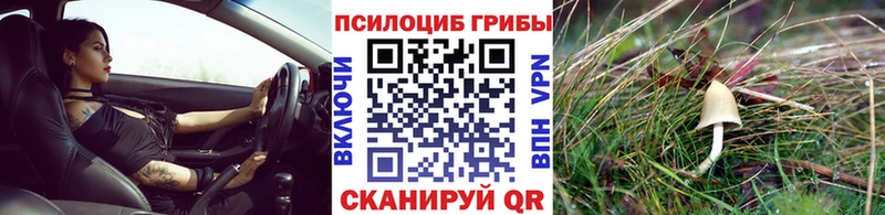 Псилоцибиновые грибы Magic Shrooms  Карабаш 